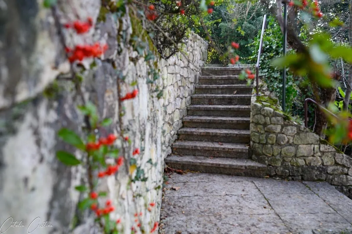 Casa Delle Magnolie Apartment Pedemonte